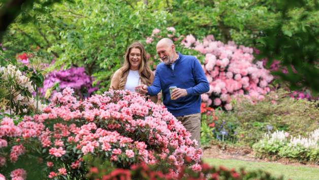 Unlimited Access to Five Gardens with RHS Individual Membership picture
