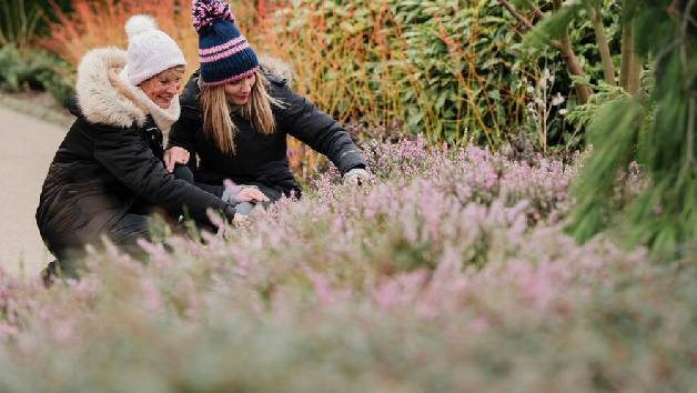 Unlimited Access to Five Gardens with RHS Individual Membership picture