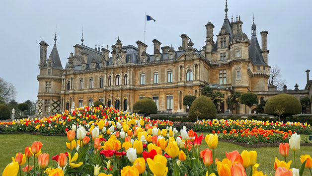 Waddesdon Manor Grounds Admission for Two with Souvenir Guidebook Image 1