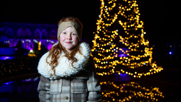 Christmas at Warwick Castle and Light Trail for Two Image 4