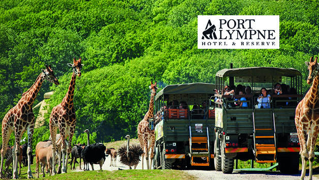 Entry to Port Lympne Reserve with Truck Safari and Afternoon Tea for Two picture