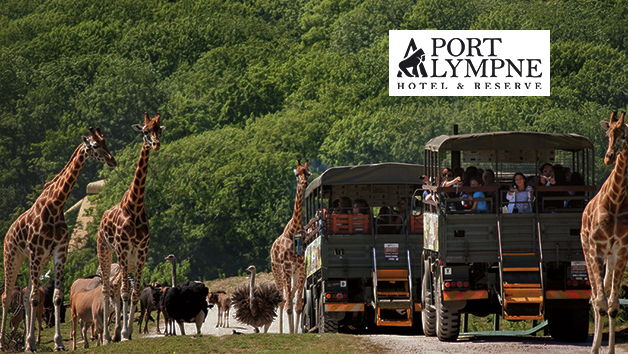 Entry to Port Lympne Reserve with Truck Safari and Afternoon Tea for Two picture
