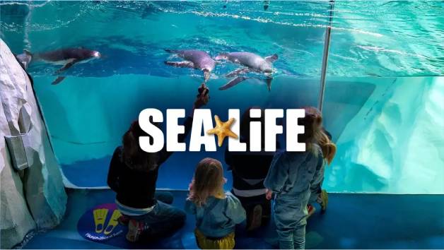 SEA LIFE Entry Tickets for Two picture