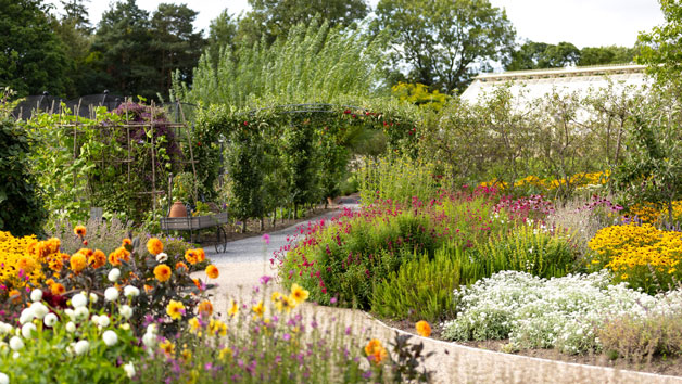 RHS Garden Harlow Carr Entry for Two Adults Image 2