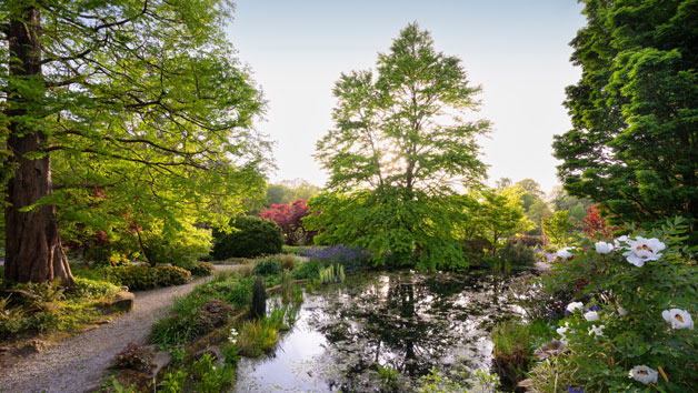 RHS Garden Harlow Carr Entry for Two Adults Image 1