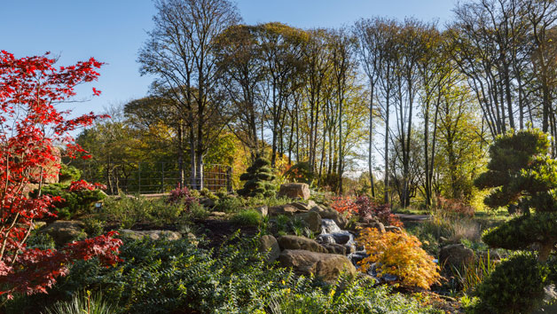 RHS Garden Bridgewater Entry for Two Adults Image 1