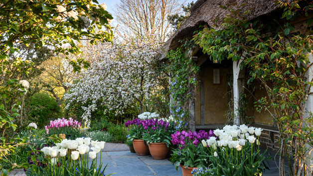 RHS Garden Rosemoor Entry for Two Adults Image 5