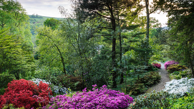 RHS Garden Rosemoor Entry for Two Adults Image 3