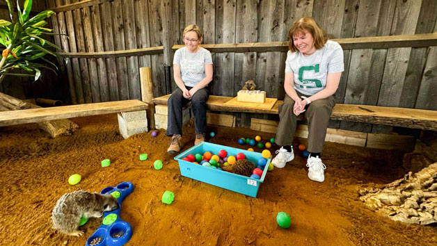 Private Meerkat Encounter for Two People at Millets Wildside Image 2