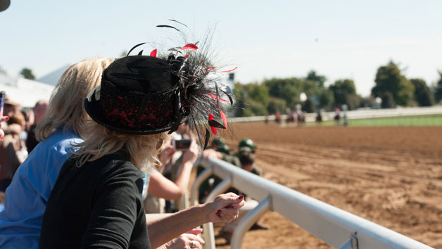 A Day at the Races with Enclosure Ticket and Preview for Two Image 1