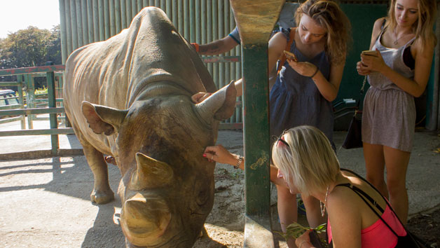 Port Lympne Reserve Keeper for the Day for Two Image 1