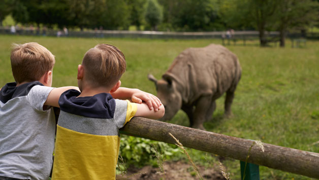 Junior Keeper for the Day Port Lympne Reserve for One Child and One Adult Image 2