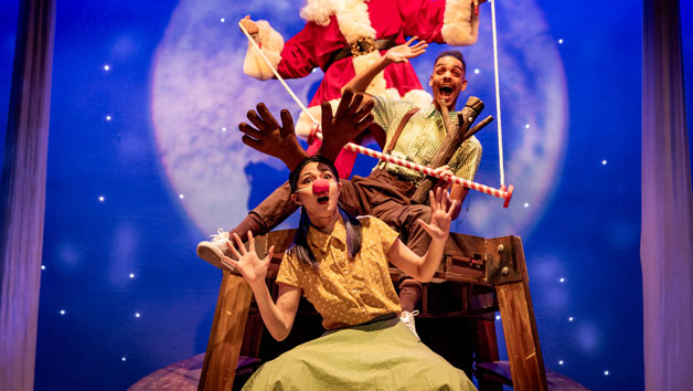 Stick Man Theatre Tickets for Two picture