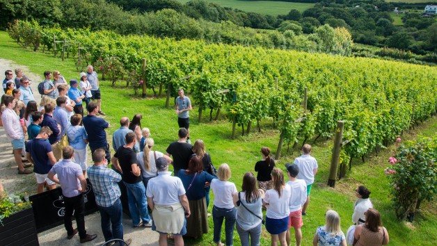 Wine Flight at Camel Valley Vineyard for Two picture