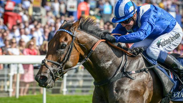 Choice of Race Day and Overnight Stay with Preview at Racing Breaks for Two picture