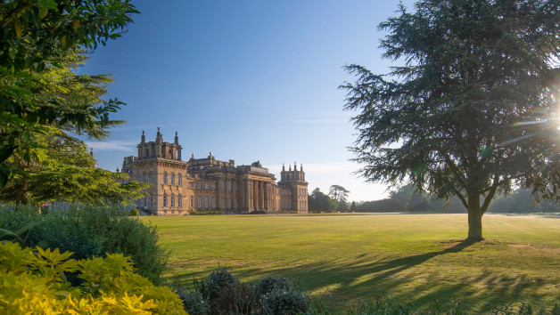 Blenheim Palace Entry with Pizza for Two Adults and Two Children picture