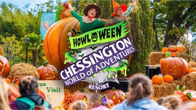 Chessington World of Adventures Resort Entry Tickets for Four picture