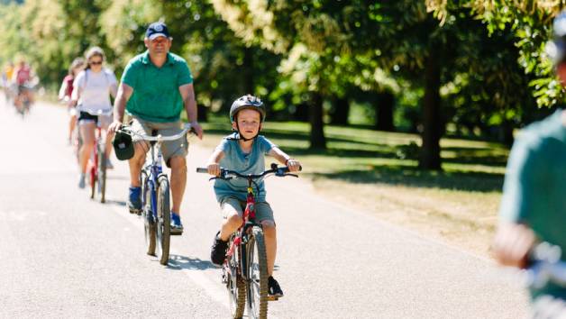 Royal London Bike Tour and Thames Cruise with Unlimited Biking for Two Adults and Two Children picture