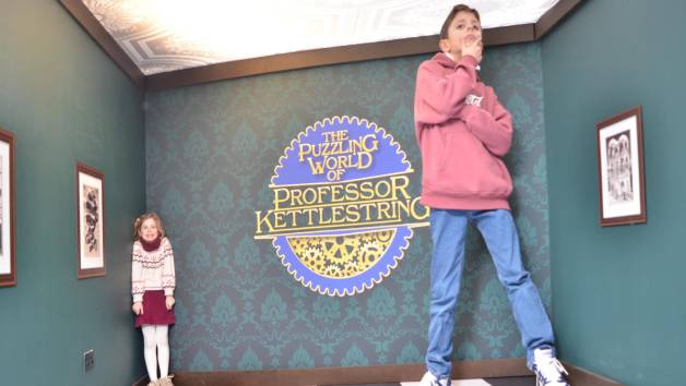 The Puzzling World of Professor Kettlestring Entry for One Adult and Two Children picture