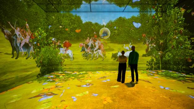 Entry for Two Adults and One Child to Frameless picture