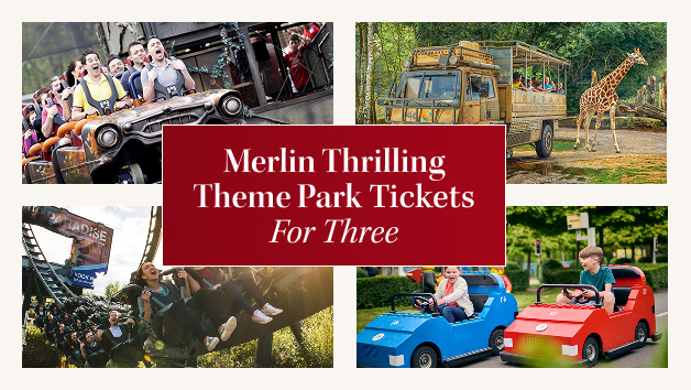 Merlin Thrilling Theme Park Tickets for Three picture