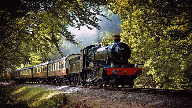 Child Rover Train Ticket from Ecclesbourne Valley Railway for One picture