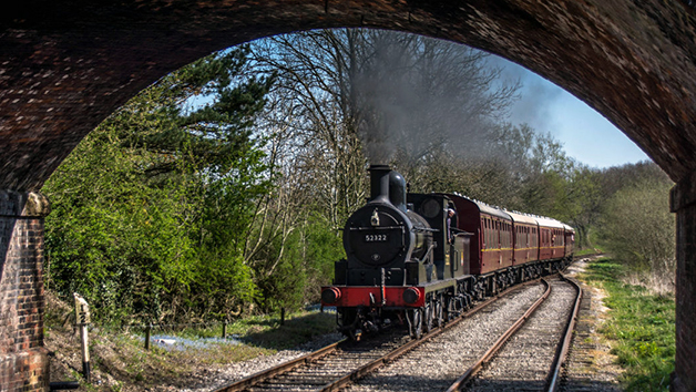 Ecclesbourne Valley Railway Adult Rover Train Ticket picture