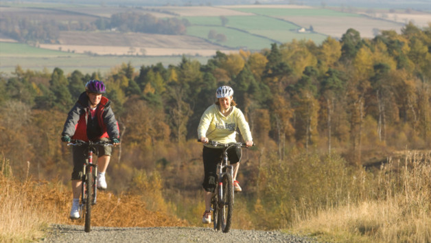 Mountain Biking at Gorsebank for Two picture
