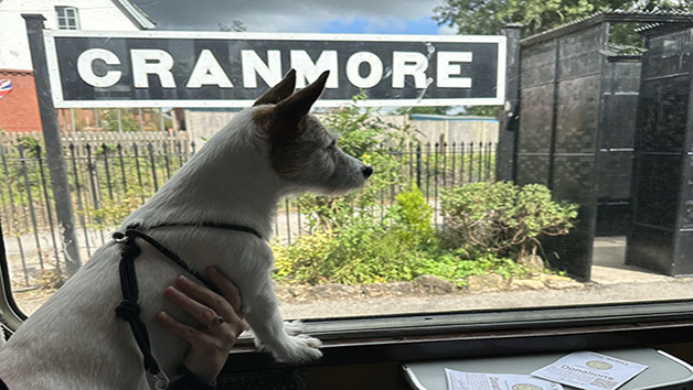 Steam Railway Day Rover Tickets on the East Somerset Railway for Two Image 3