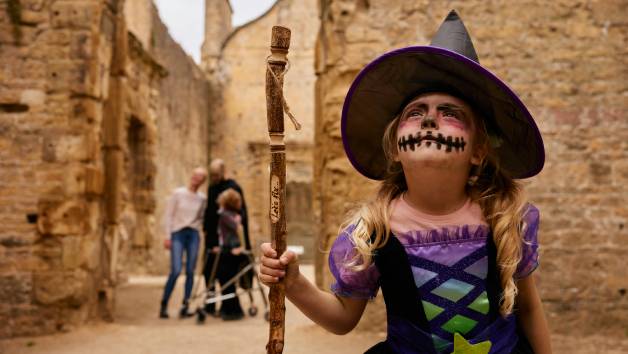 English Heritage Annual Pass for Two with Up to 12 Kids picture