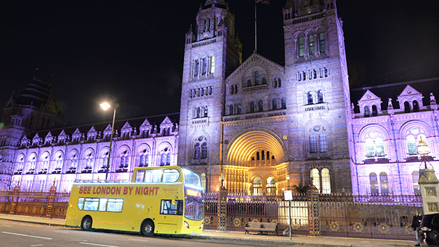 London At Night Sightseeing Tour For Two