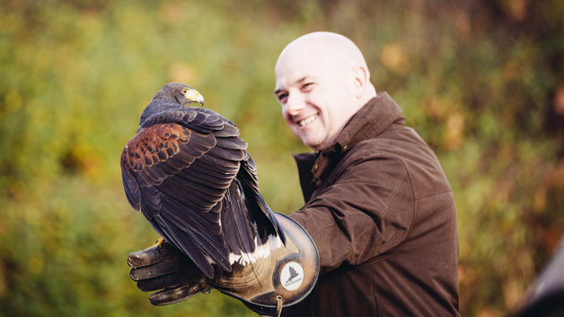 2 for 1 Hawk Walk Experience for Two at Hawksflight Falconry Image 4