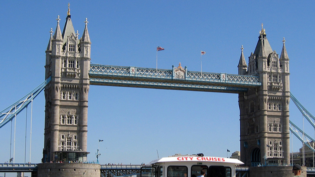 Hop On Hop Off River Thames Sightseeing Cruise Pass for Two Image 4