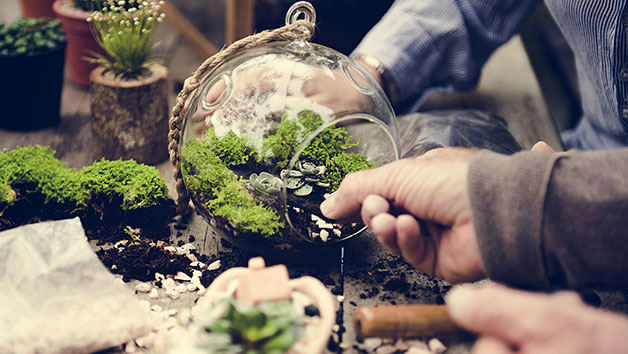 Terrarium Workshop For Two Adults At Porto's Flowers