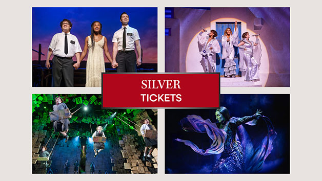 Silver Tickets for Two to a West End Theatre Show picture