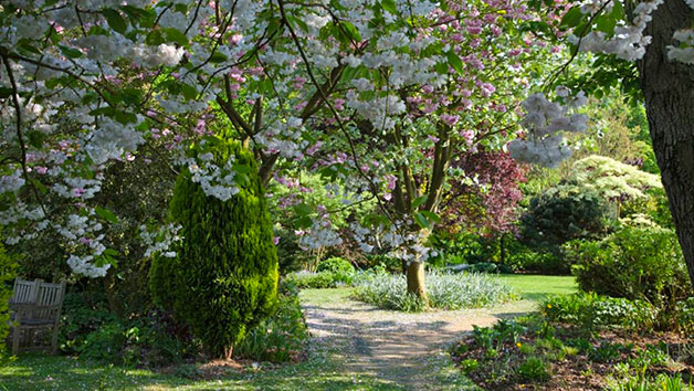 Entry to Barnsdale Gardens and an Afternoon Tea for Two Image 4