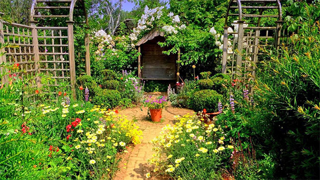 Entry to Barnsdale Gardens and an Afternoon Tea for Two Image 5