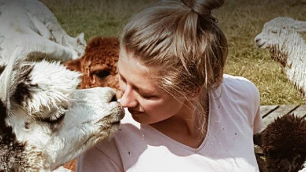 Alpaca Trekking at Brackenfield Alpacas for One Adult and One Child picture