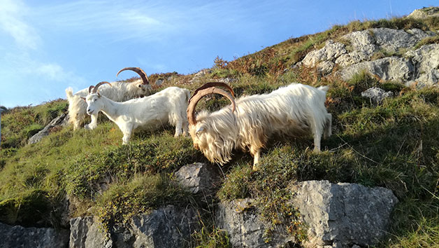 Choice of Snowdonia Adventure Tour for Two People Image 5