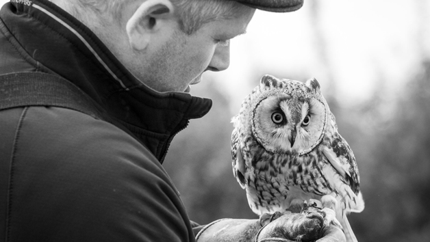 Click to view details and reviews for Introduction To Birds Of Prey With Bb Falconry.