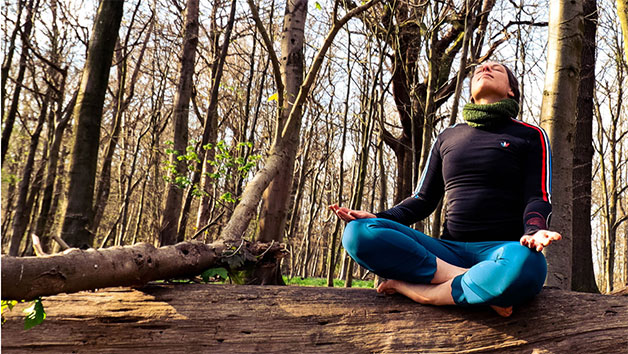 Yoga and Nature Retreat with BrightonYoga for One Person Image 5