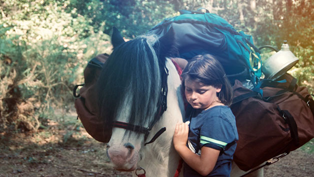 Overnight Arabian Wild Camp Break and Pony Walk with The Ancient Trails Company for One Person Image 5