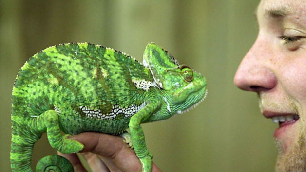 Half Day Keeper Experience for Two at Northumberland College Zoo Image 2