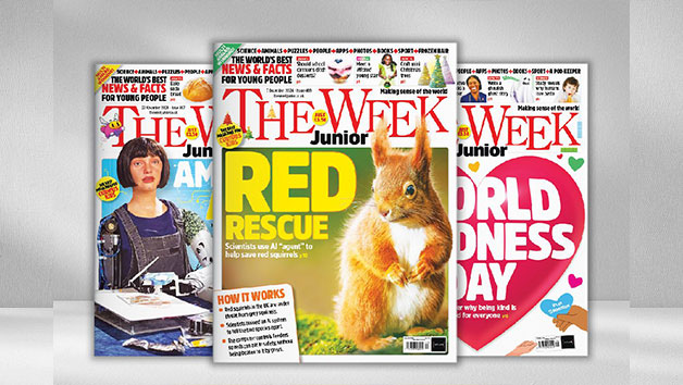 Twelve Months of The Week Junior Magazine picture