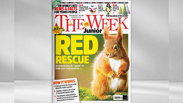 Six Months of The Week Junior Magazine picture
