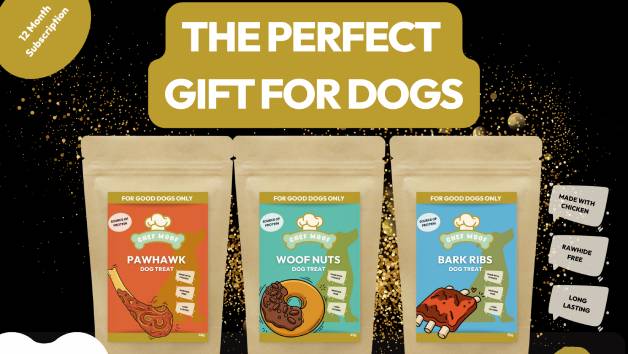 One Month Dog Treat Gift Box from Chef Woof picture