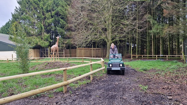 Hoo Zoo & Dinosaur World Entry for One Adult and One Child Image 4