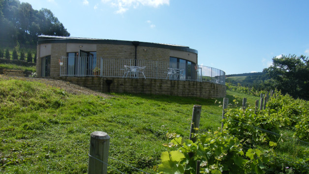 Vineyard Tour with Afternoon Tea or Lunch for Two picture