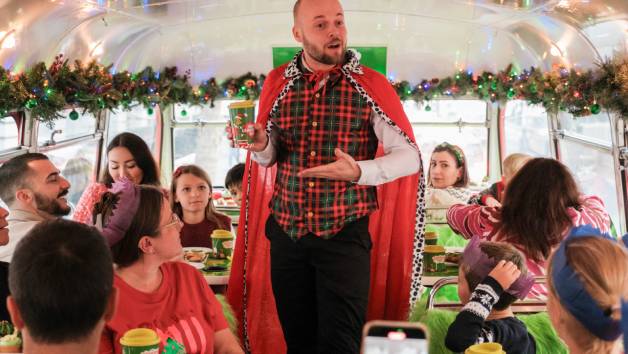 Weekend Grinchmas Afternoon Tea Bus Tour with Brigit’s Bakery for Two Adults and One Child picture