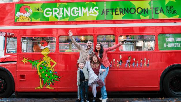 Weekend Grinchmas Afternoon Tea Bus Tour with Brigit’s Bakery for Two Adults and Two Children picture